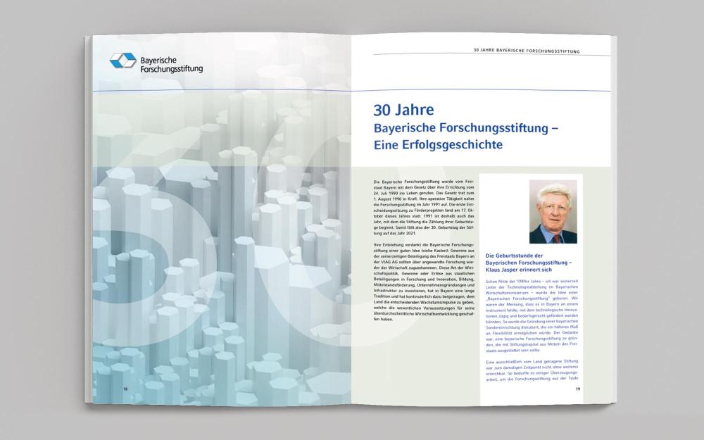 Bayerische Forschungsstiftung Jahresbericht 2020